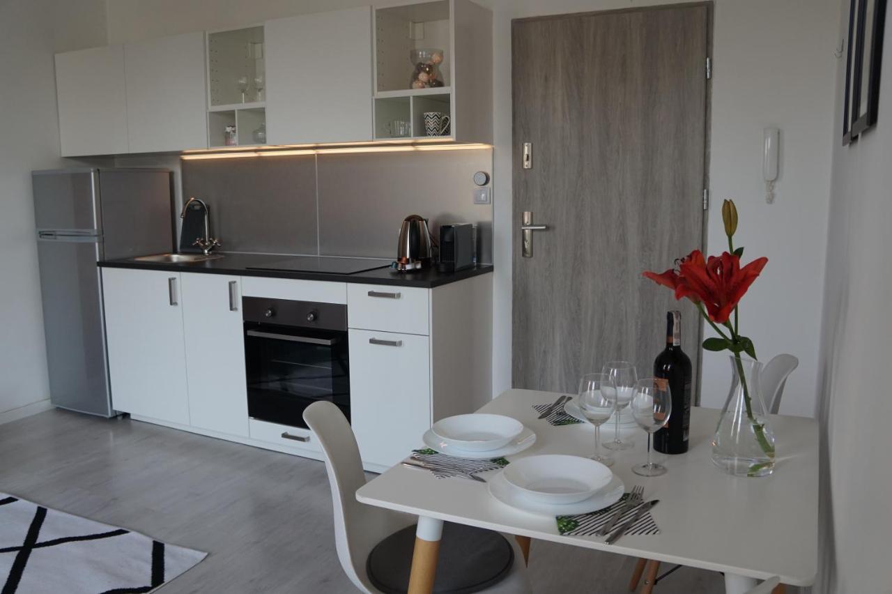 Apartament Gliwice Centrum Witkiewicza I 外观 照片